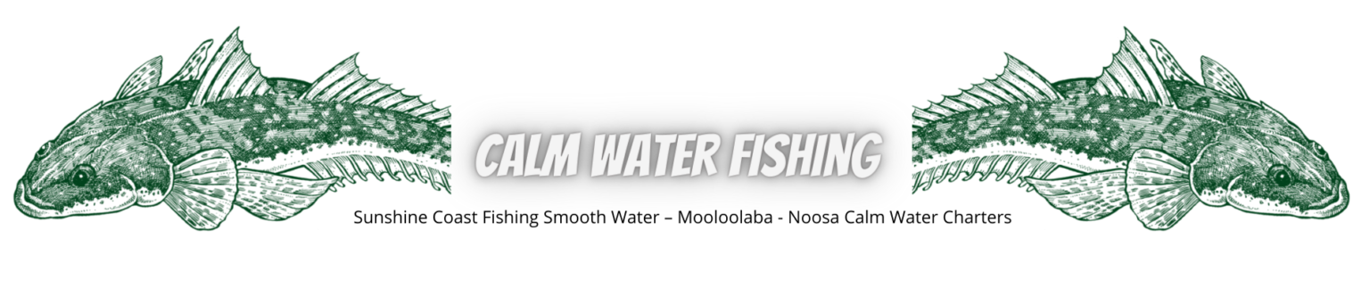 Calm Water Fishing Mooloolaba
